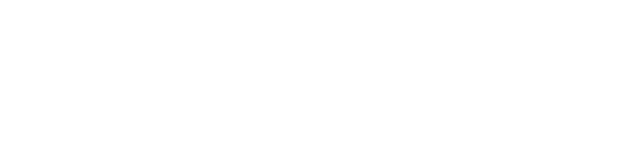 ROBBER RICH